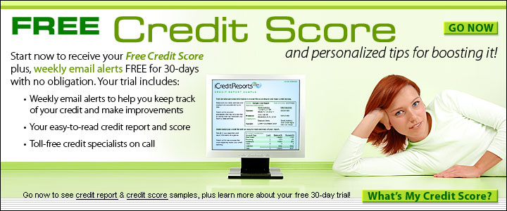 Credit Score Dinosaur Yahoo Search Recipes